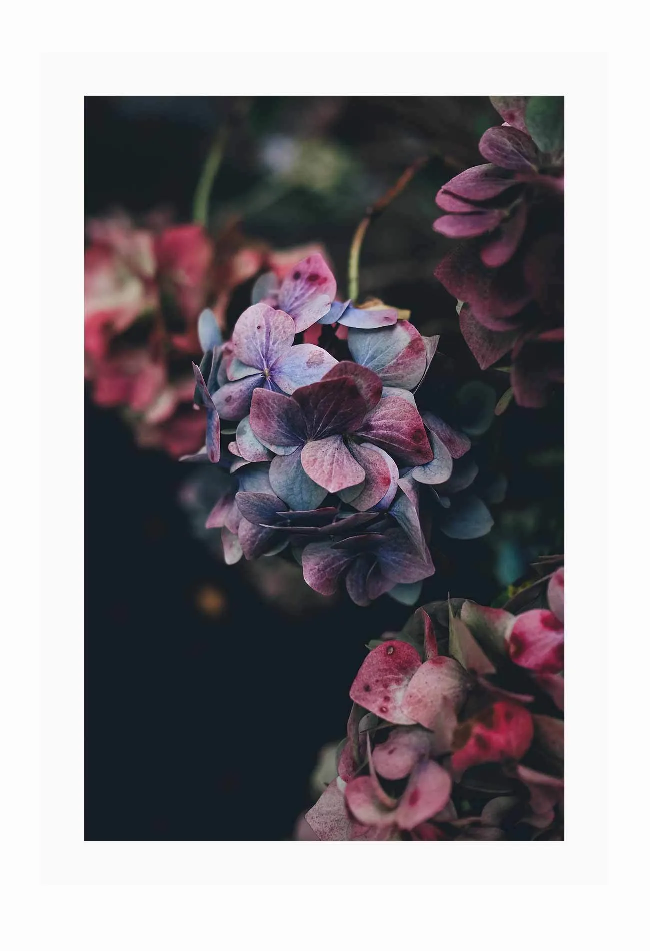 Floral Mood