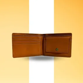 Men Brown Artificial Leather Wallet(TPT)