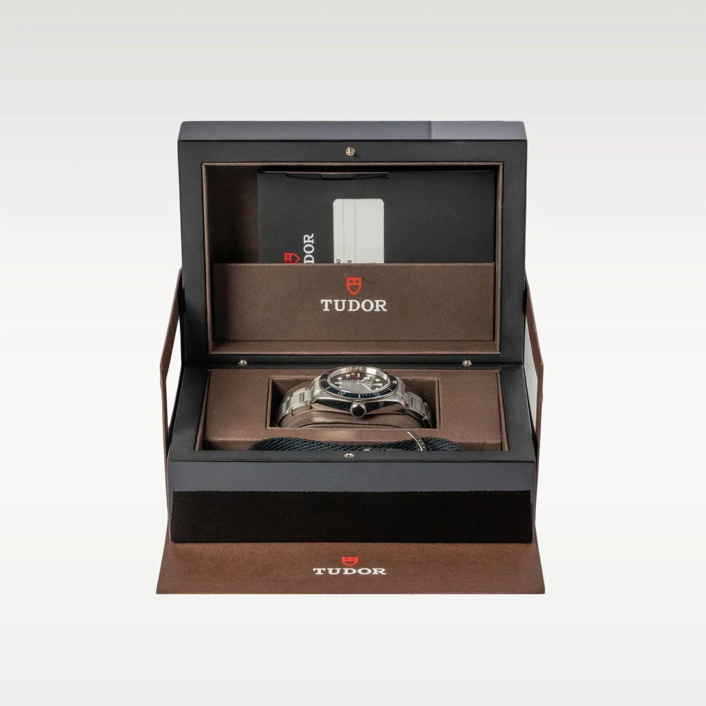 Tudor Black Bay 79220B